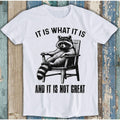 It Is What It Is And It Is Not Great Raccoon Meme T-Shirt Funny Animal Graphic Tee Unisex Humor Gift
