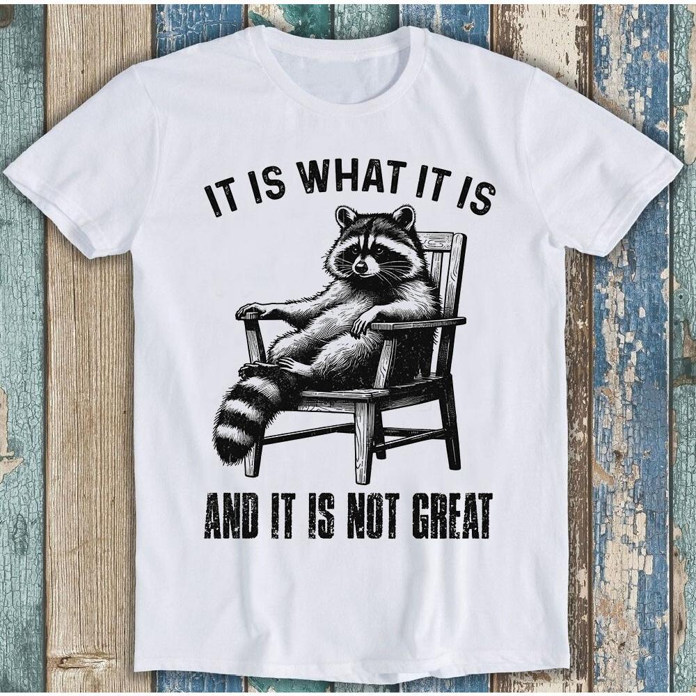 It Is What It Is And It Is Not Great Raccoon Meme T-Shirt Funny Animal Graphic Tee Unisex Humor Gift